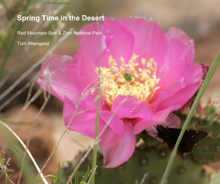 Spring Time in the Desert nach Tom Weingeist anzeigen