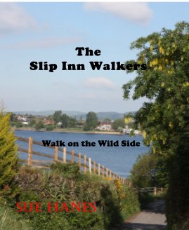 The Slip Inn Walkers book cover