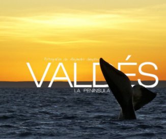Valdés. book cover