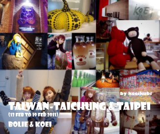 TAIWAN-TaiChung & TaiPei (13 feb to 19 feb 2011) book cover