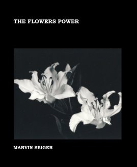 THE FLOWERS POWER book cover