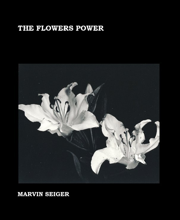 THE FLOWERS POWER nach MARVIN SEIGER anzeigen