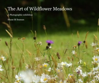 The Art of Wildflower Meadows book cover