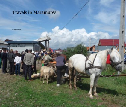 Travels in Maramures book cover