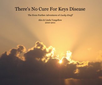 There's No Cure For Keys Disease book cover