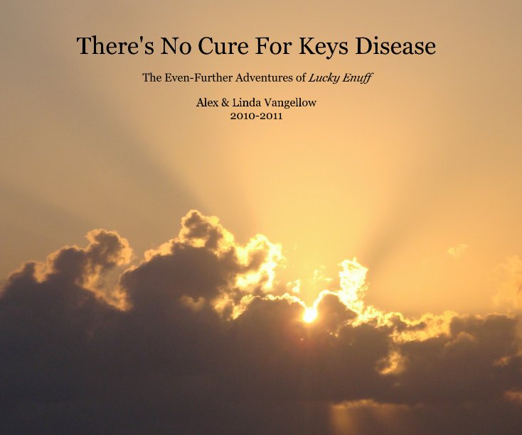 Ver There's No Cure For Keys Disease por Alex & Linda Vangellow 2010-2011