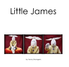 Little James book cover