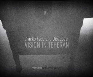 Cracks Fade and Disappear book cover