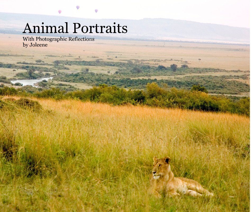 Bekijk Animal Portraits op Photographic Reflections by Joleene