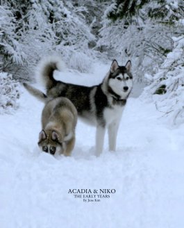 Acadia & Niko book cover