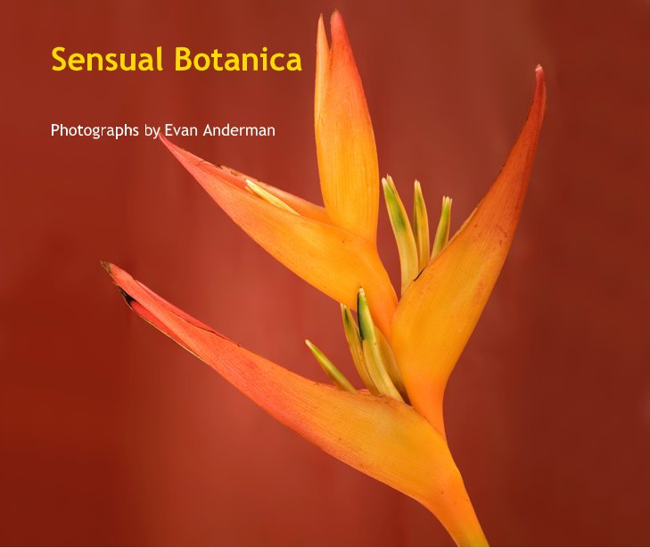 View Sensual Botanica by Photographs by Evan Anderman