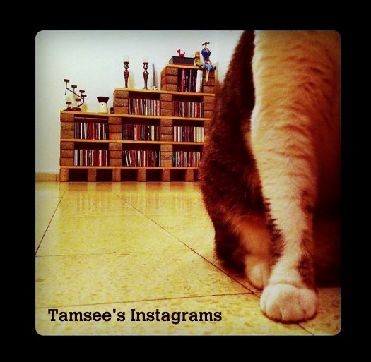 View Instagrams by Tamy Eisenberg
