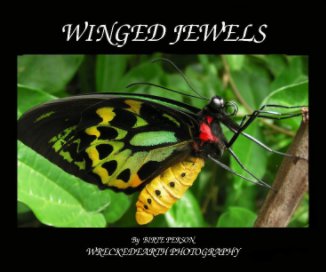 Winged Jewels book cover