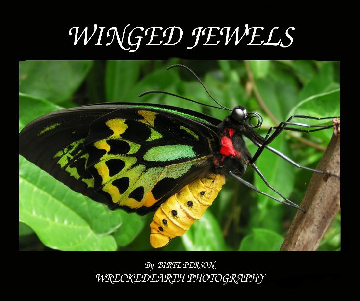 View Winged Jewels by Birte Person