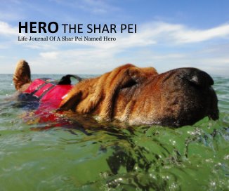 HERO THE SHAR PEI book cover