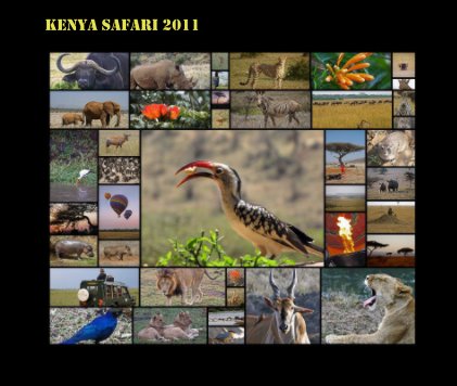 KENYA Safari 2011 book cover