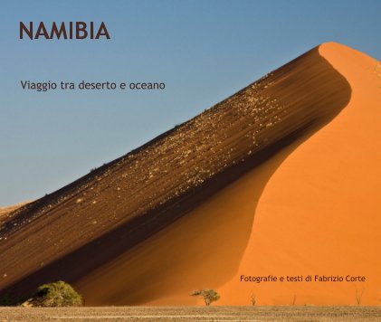 NAMIBIA book cover