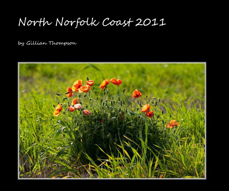View North Norfolk Coast 2011 by Gillian Thompson