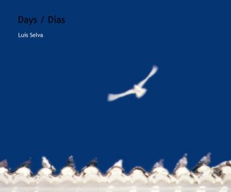 Days / Días book cover