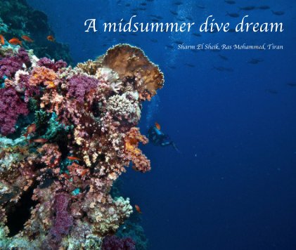 A midsummer dive dream book cover