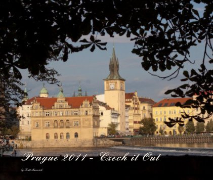 Prague 2011 - Czech it Out book cover