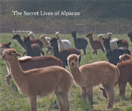 The Secret Lives of Alpacas book cover