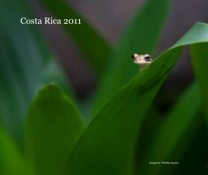 Costa Rica 2011 book cover