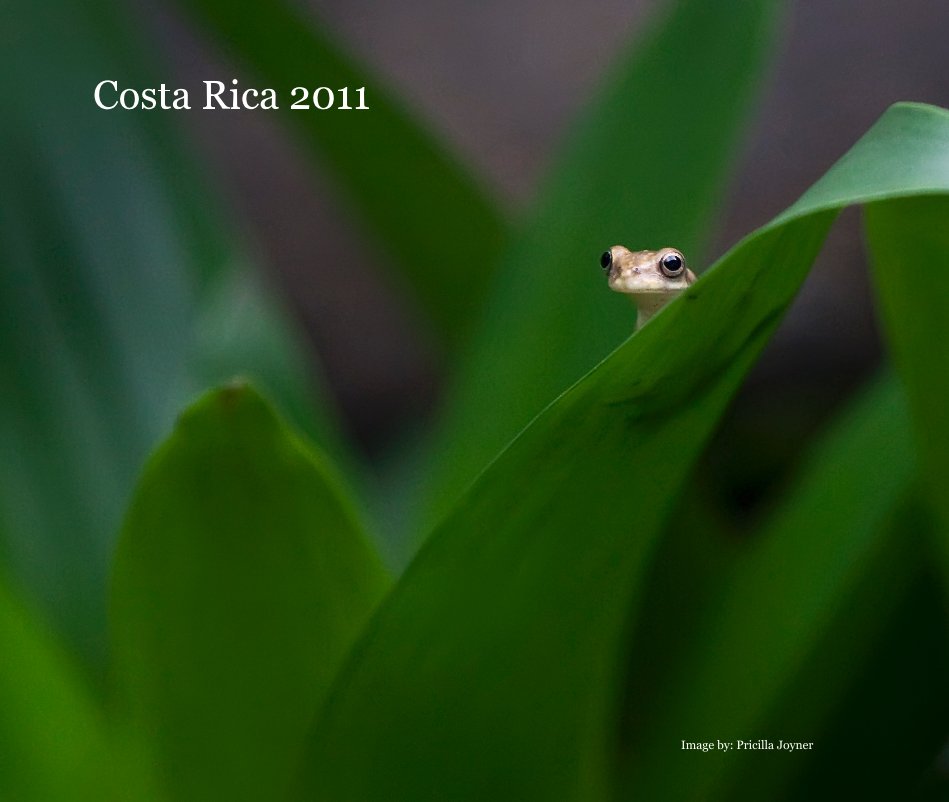 Ver Costa Rica 2011 por bobsalyers
