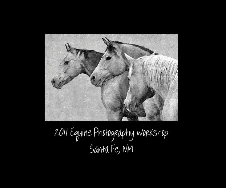 2011 Photography Workshop Santa Fe, NM nach pjquinn anzeigen