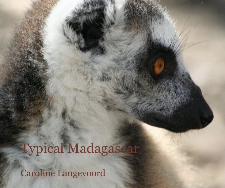 View Typical Madagascar by Caroline Langevoord