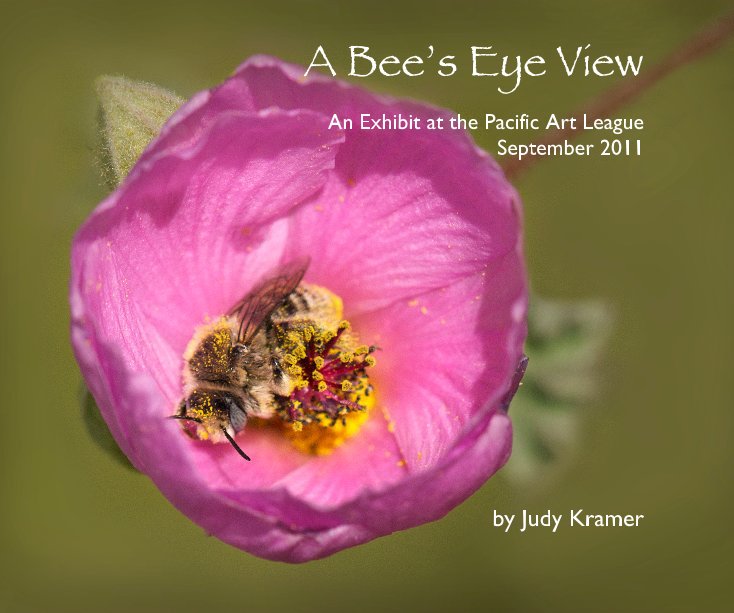 View A Bee’s Eye View by Judy Kramer