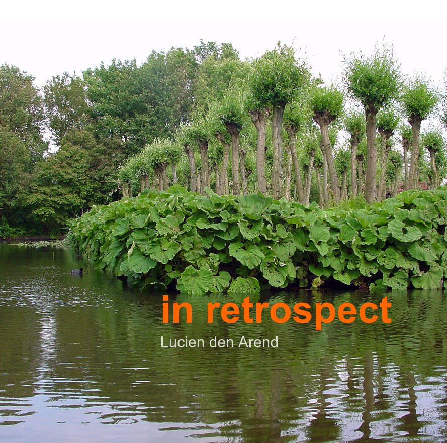 View in retrospect Lucien den Arend by Lucien den Arend