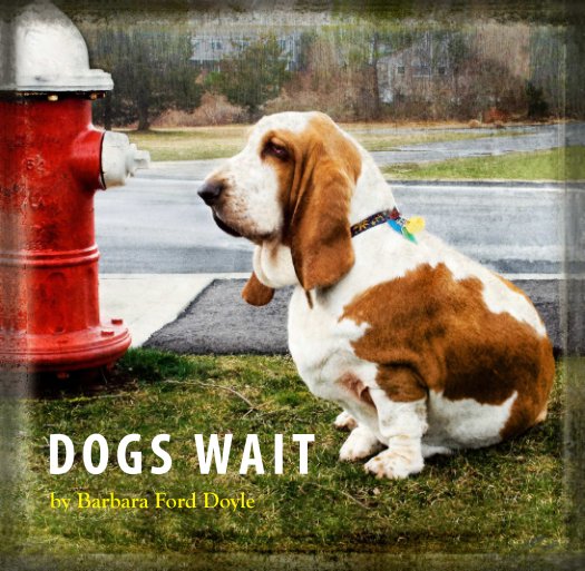 View Dogs Wait by Barbara Ford Doyle