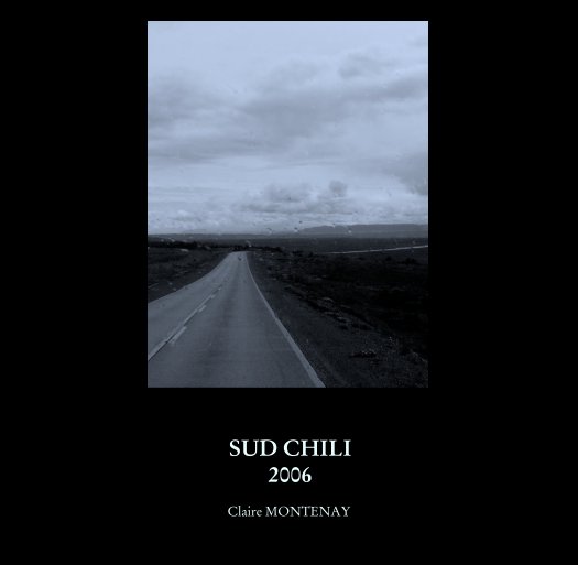 View SUD CHILI
2006 by Claire MONTENAY