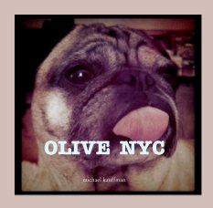 OLIVE  NYC book cover