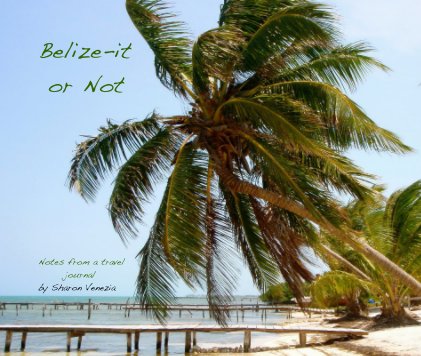 Belize-it or Not book cover