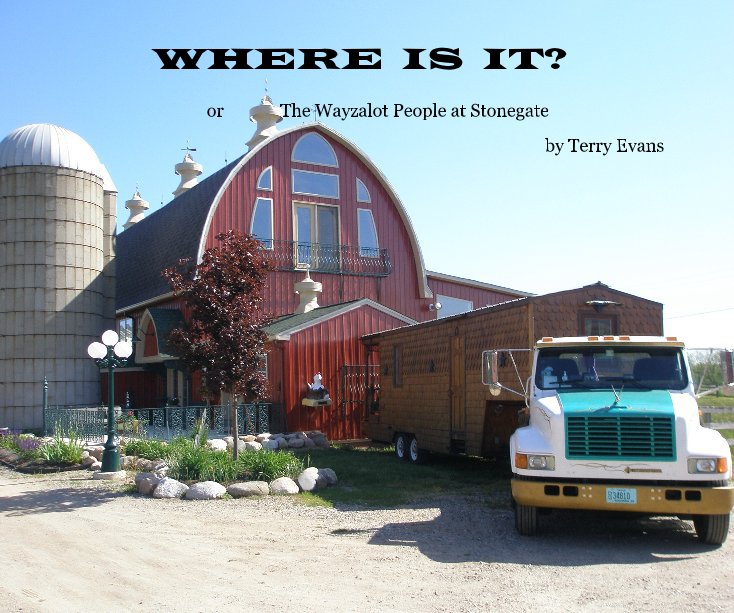 Visualizza WHERE IS IT? di Terry Evans