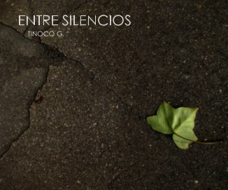 Entre Silencios book cover