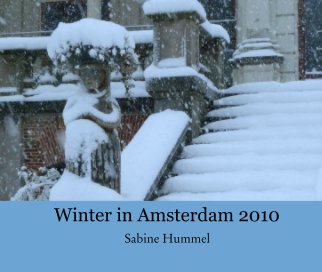 Winter in Amsterdam book cover