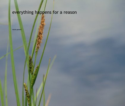 everything happens for a reason book cover