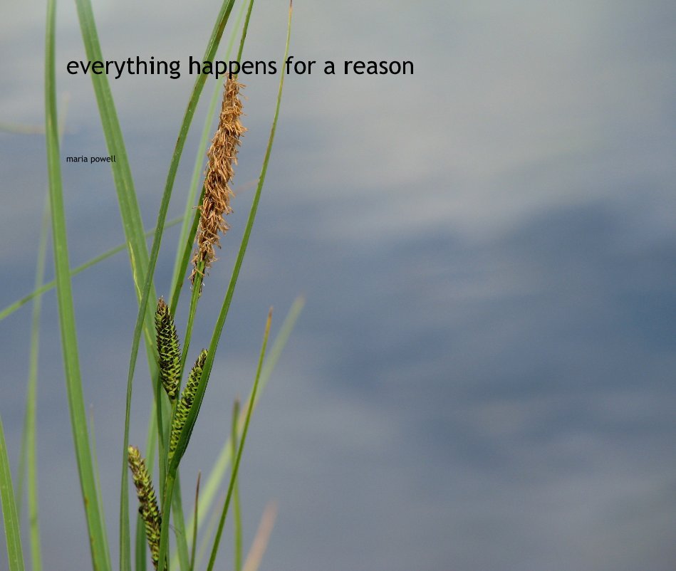 View everything happens for a reason by maria powell