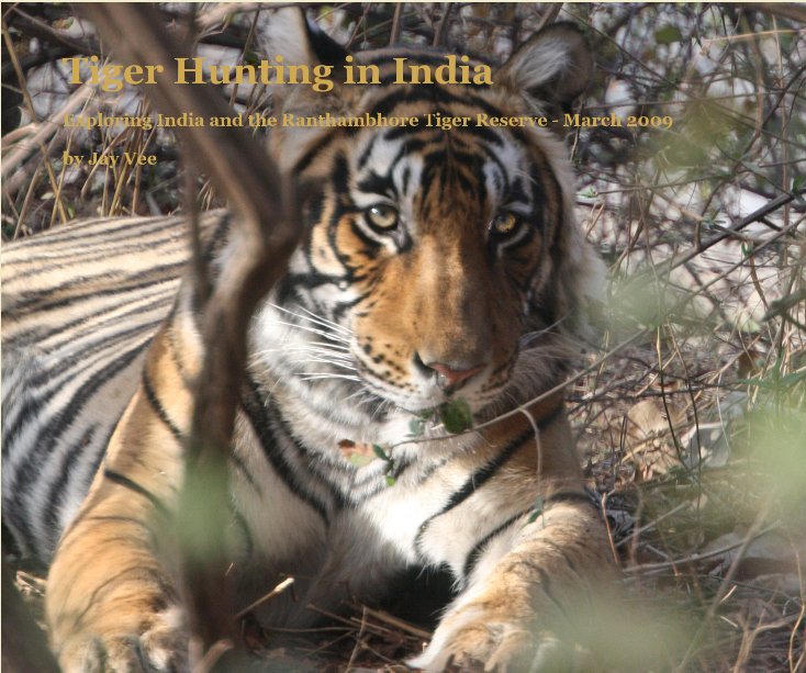 View Tiger Hunting in India by Jay Vee