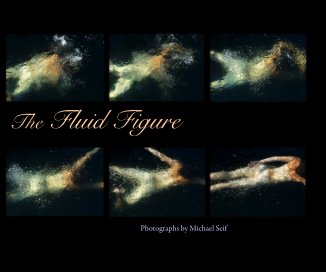 The Fluid Figure book cover