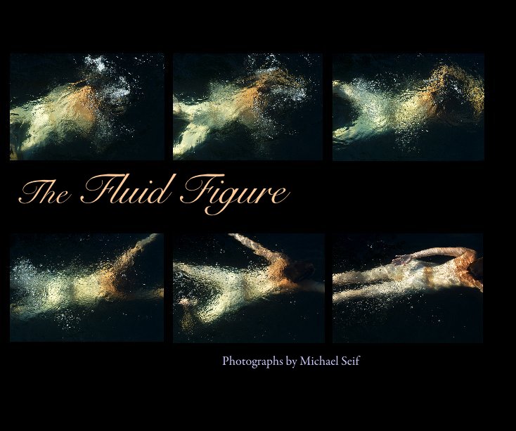 Visualizza The Fluid Figure di Photographs by Michael Seif