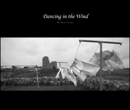 Dancing in the Wind book cover