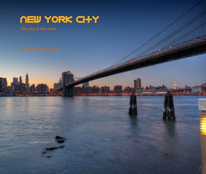 New york city book cover