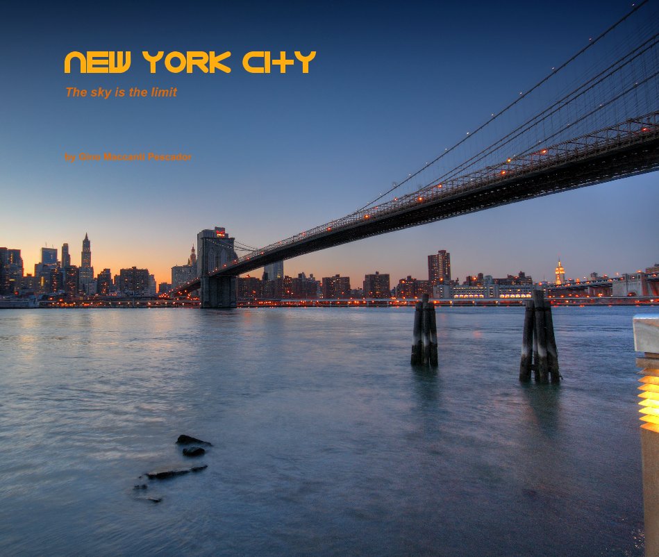 View New york city by Gino Maccanti Pescador