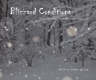 Blizzard Conditions book cover