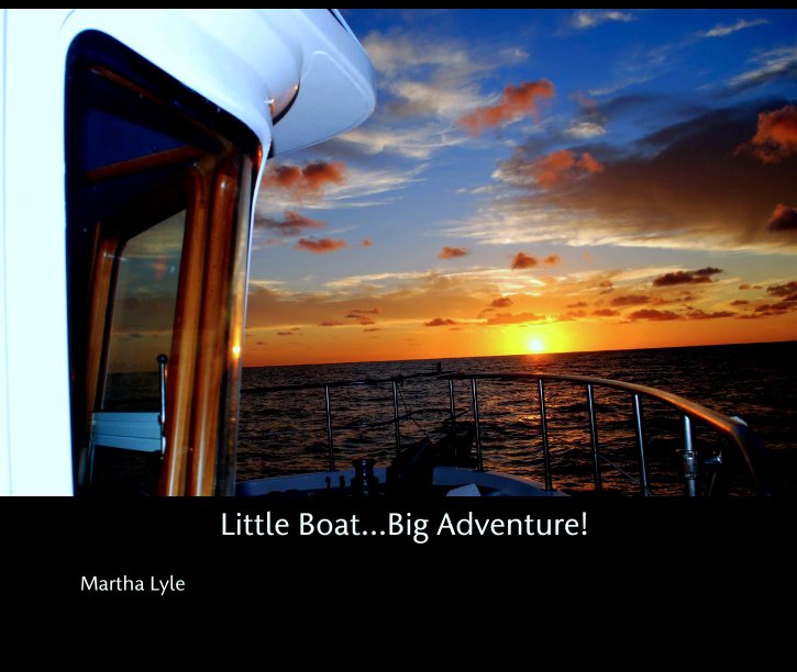Ver Little Boat...Big Adventure! por Martha Lyle