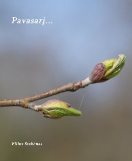 Pavasarį... book cover